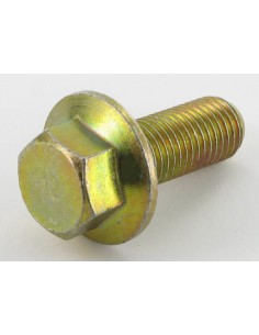 Boulon hex., 10x25 d'origine référence 90105-960-003 Honda