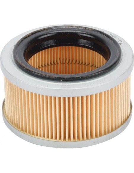 Cartouche filtrante ( br ) référence 4203 141 0300 Stihl