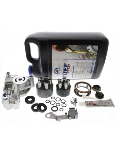 Kit réparation boite K46DF origine 1A646098450 Tuff Torq
