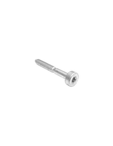 Vis cylindrique is-5.3x41 référence 9075 478 4195 d'origine Stihl / Viking