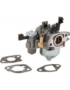 Carburateur d'origine référence 596079 pour moteur Briggs et Stratton