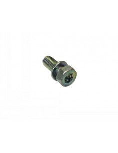 Vis d'origine référence 691902 pour moteur Briggs et Stratton