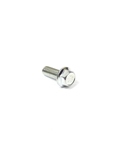 Vis,3/8-16x1 d'origine référence 704038 Murray - Snapper - Simplicity - groupe Briggs et Stratton