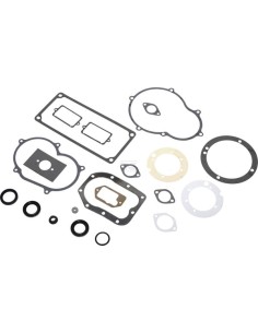 Pochette joints d'origine référence 299719 pour moteur Briggs et Stratton
