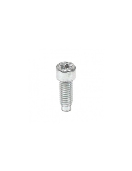 Vis fixation échappement d'origine référence 698941 pour moteur Briggs et Stratton