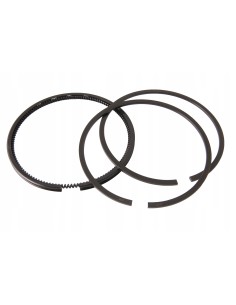 Jeu de segments standard d'origine référence 499604 pour moteur Briggs et Stratton