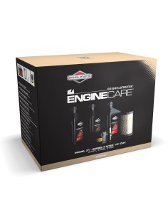 Tune-up kit model 31 d'origine référence 992243 pour moteur Briggs et Stratton