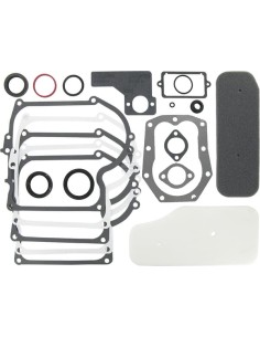 Pochette joints d'origine référence 393411 pour moteur Briggs et Stratton