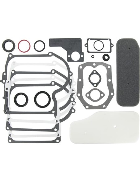 Pochette joints d'origine référence 393411 pour moteur Briggs et Stratton