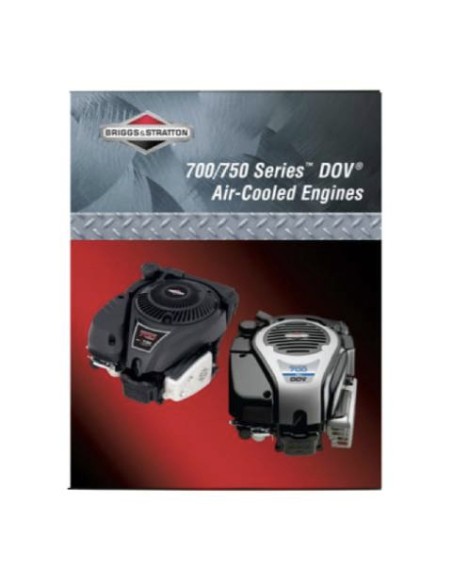 Manuel de reparation moteur DOV d'origine référence 277527 pour moteur Briggs et Stratton