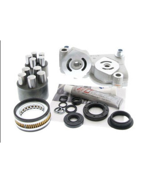 Kit de réparation hydrostatique boite hydro k62 origine 1A632099191 Tuff torq