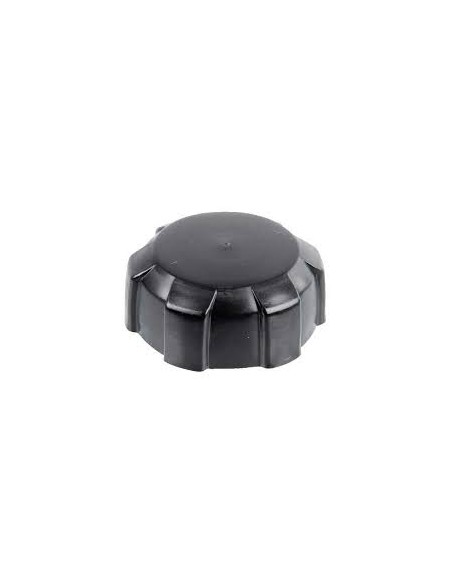 Bouchon de réservoir essence GV100 d'origine référence 17620-ZG1-000 Honda