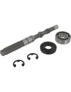Kit axe entrée de boite origine 1A646099950 Tuff torq