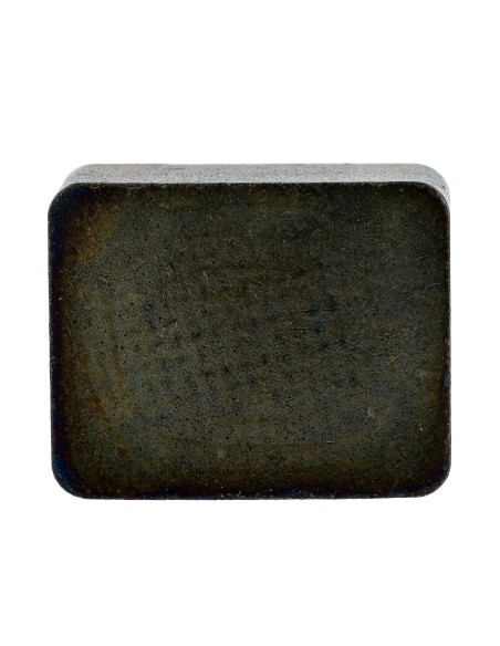 Plaquette de frein origine 1A646036121 Tuff Torq
