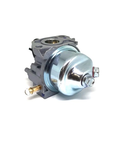 Carburateur RS100/RV100  référence 118550697/0 GGP Castel Garden