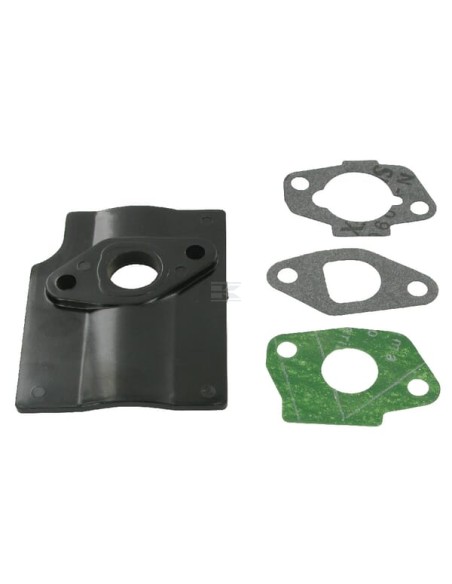 Kit joints carburateur RS100/RSC100/RSCT100 référence 118550699/0 GGP Castel Garden