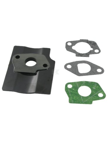 Kit joints carburateur RS100/RSC100/RSCT100 référence 118550699/0 GGP Castel Garden