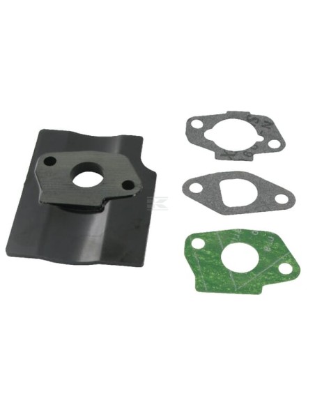 Kit joints carburateur RS100/RSC100/RSCT100 référence 118550699/0 GGP Castel Garden