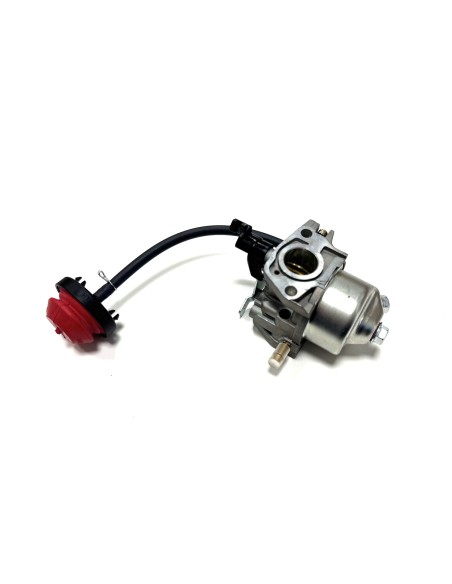 Carburateur LC170F/LC170FD référence 118550653/0 GGP Castel Garden
