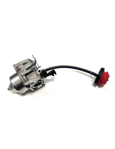 Carburateur LC170F/LC170FD référence 118550653/0 GGP Castel Garden