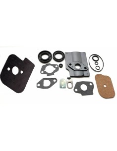 Kit joints moteur RS100 référence 118550730/0 GGP Castel Garden