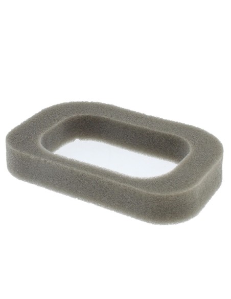 Filtre air mousse RS100/RV100 référence 118550704/0 GGP Castel Garden