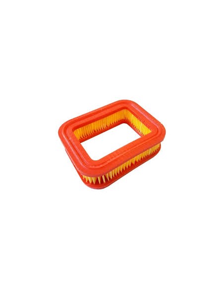 Filtre à air RSC100/RSCT100 référence 118550748/0 GGP Castel Garden