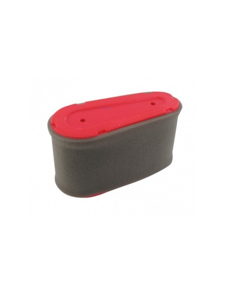 Filtre à air pour moteur TRE0701/WM13.5/WM14/WM14.5/WM16 référence 118550199/0 GGP Castel Garden