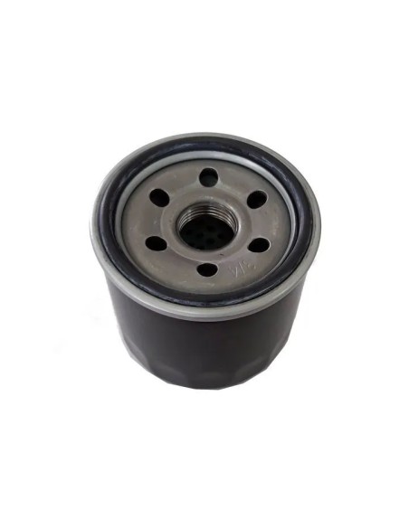 Filtre à huile moteur TRE586V/TRE635 référence 118551566/0 GGP Castel Garden STIGA