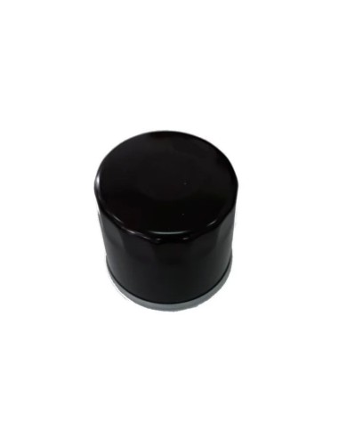 Filtre à huile moteur TRE586V/TRE635 référence 118551566/0 GGP Castel Garden STIGA