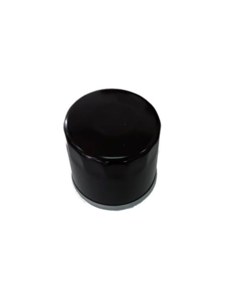 Filtre à huile moteur TRE586V/TRE635 référence 118551566/0 GGP Castel Garden STIGA