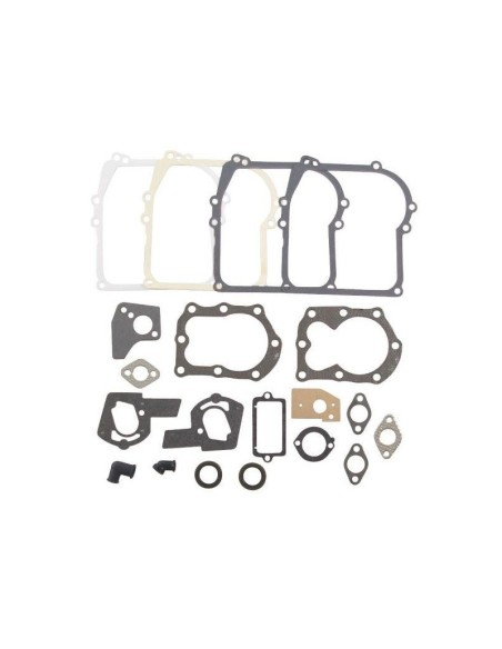 Pochette de joints d'origine référence 495605 pour moteur Briggs et Stratton