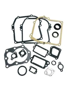 Pochette de joints d'origine référence 590777 pour moteur Briggs et Stratton