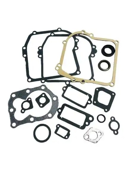Pochette de joints d'origine référence 590777 pour moteur Briggs et Stratton