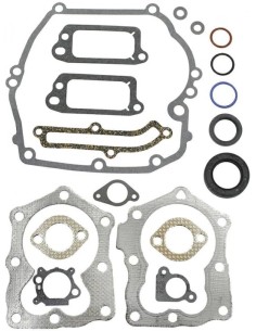 Pochette de joints d'origine référence 590508 pour moteur Briggs et Stratton