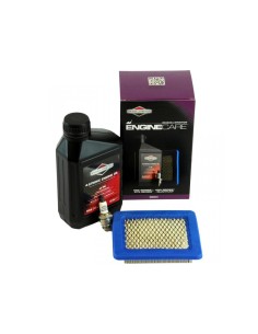 Kit entretien révision moteur quantum d'origine référence 992244 Briggs et Stratton