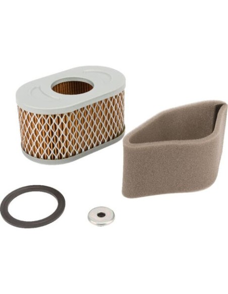 Filtre à air d'origine référence 797033 pour moteur Briggs et Stratton