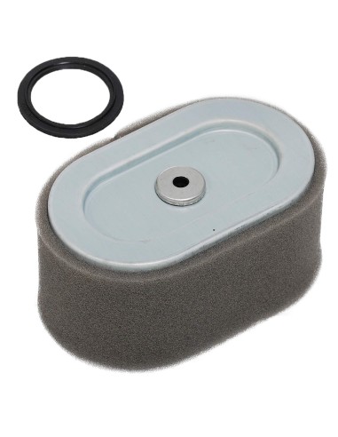 Filtre à air d'origine référence 797033 pour moteur Briggs et Stratton