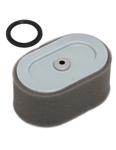 Filtre à air d'origine référence 797033 pour moteur Briggs et Stratton