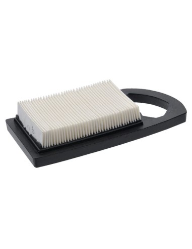 Filtre à air d'origine référence 794421 pour moteur Briggs et Stratton