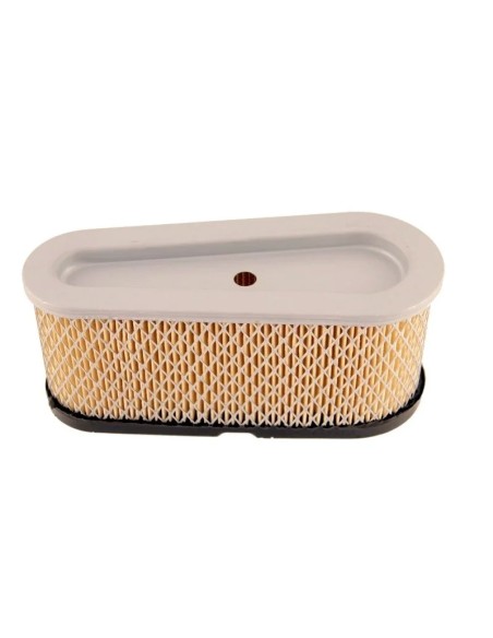 Filtre a air moteur d'origine référence 496894S pour moteur Briggs et Stratton