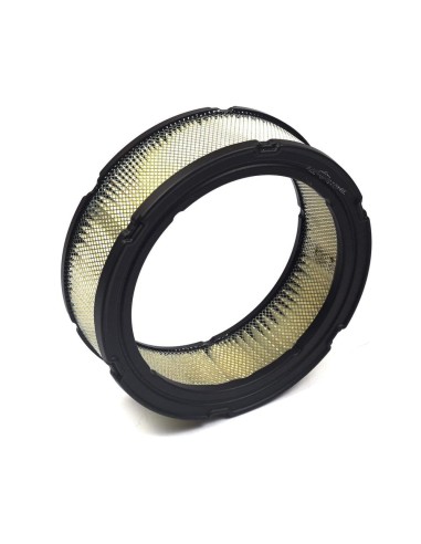 Filtre à air référence 394018S Briggs et Stratton