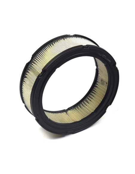 Filtre à air référence 394018S Briggs et Stratton