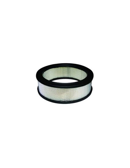 Filtre à air référence 394018S Briggs et Stratton