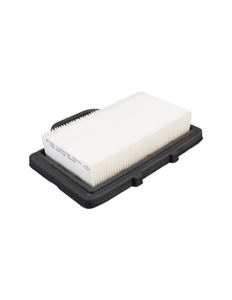 Filtre à air d'origine référence 792101 pour moteur Briggs et Stratton