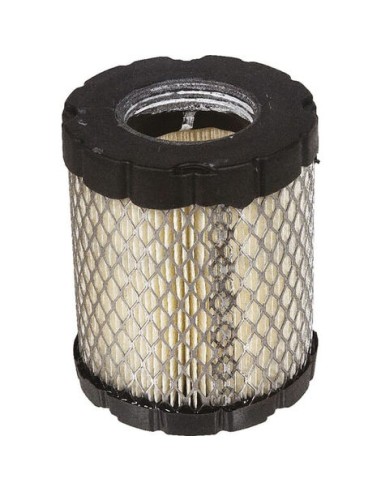 Filtre à air d'origine référence 798897 pour moteur Briggs et Stratton