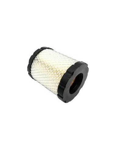 Filtre à air d'origine référence 798897 pour moteur Briggs et Stratton
