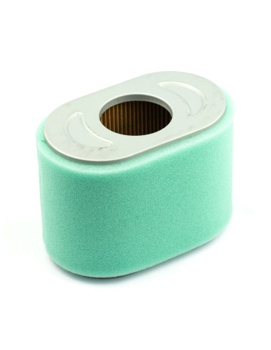 Filtre a air avec pré-filtre d'origine référence 797032 pour moteur Briggs et Stratton