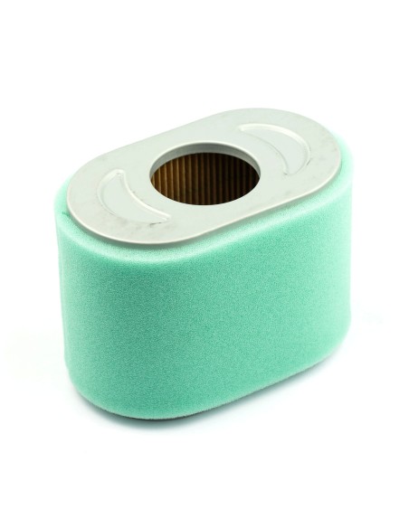 Filtre a air avec pré-filtre d'origine référence 797032 pour moteur Briggs et Stratton