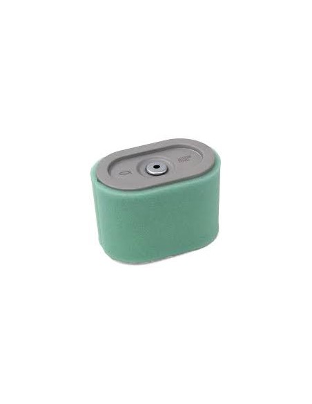 Filtre a air avec pré-filtre d'origine référence 797032 pour moteur Briggs et Stratton
